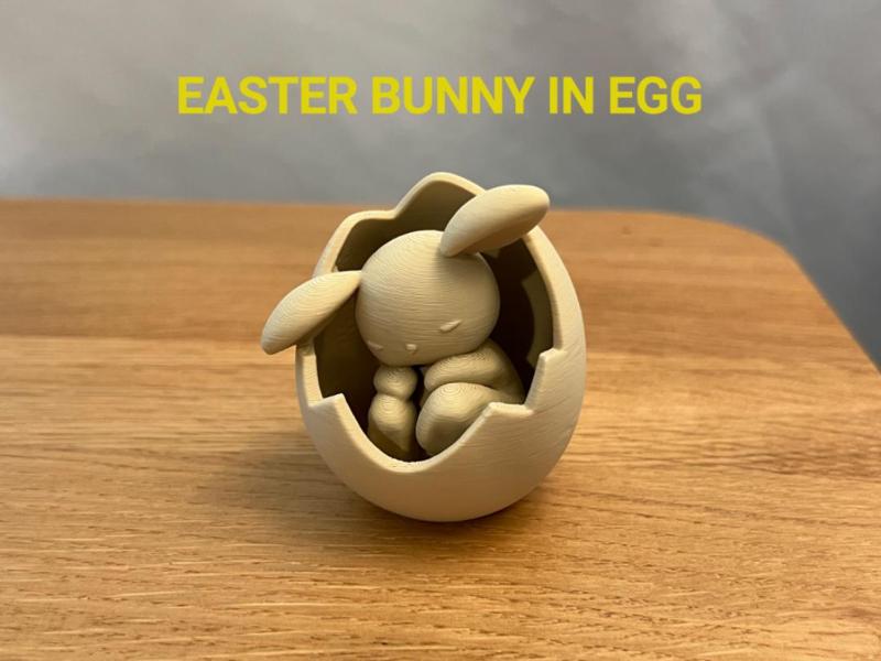 Easter Bunny in Egg