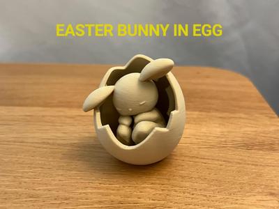 Easter Bunny in Egg