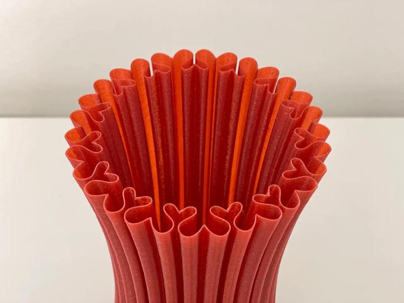 Vase of Hearts – Vase Mode Print