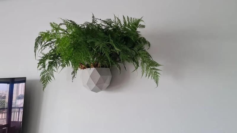 Geometric Wall Plant