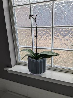 Lego Orchid Plant Vase