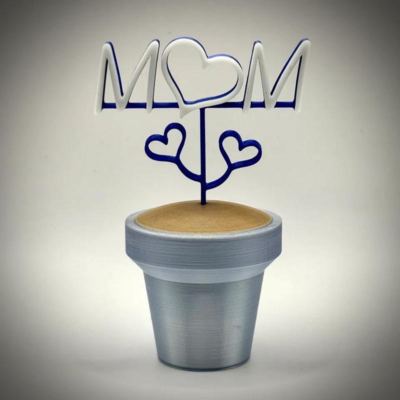 Mom Pot Plant   