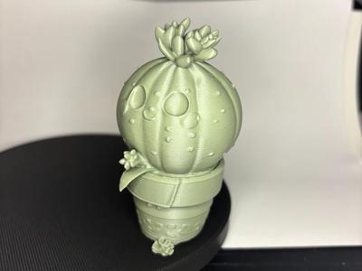 Plant Mascot Ball Cactus