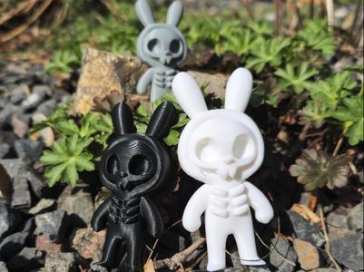 Ray- The X-Ray Bunny