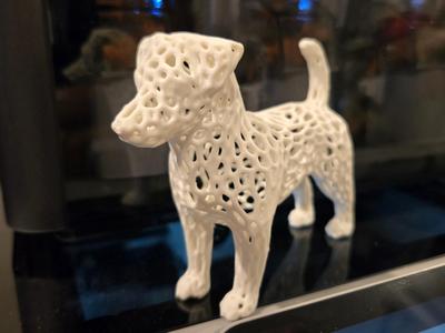 Jack Russel Voronoi