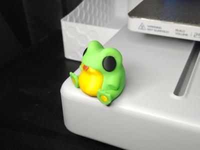 Cute frog