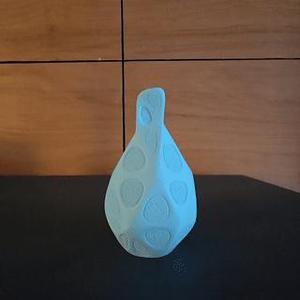Fuzzy vase
