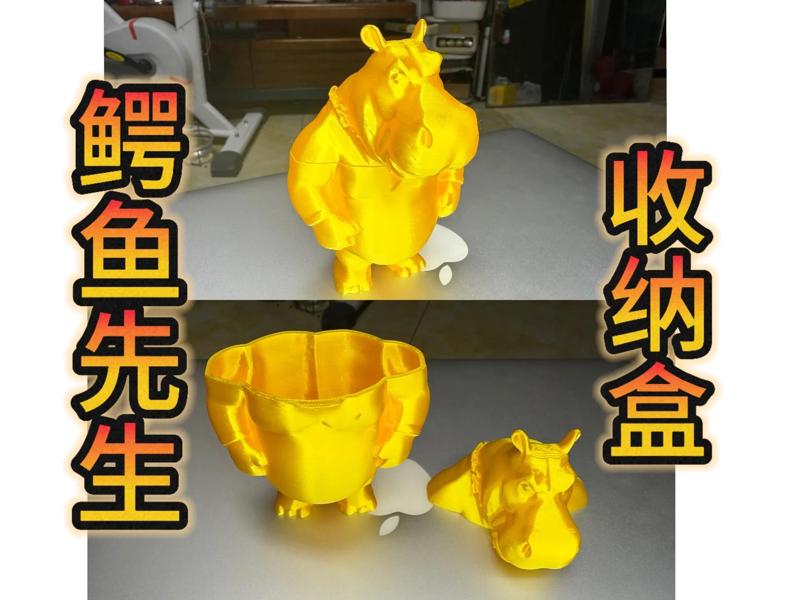 Mr Alligator Storage Box – 2025 Wang Defu Works 25