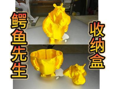 Mr Alligator Storage Box – 2025 Wang Defu Works 25