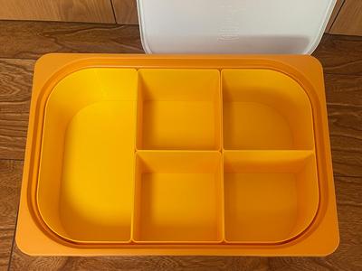 IKEA Trofast compartmentalized storage