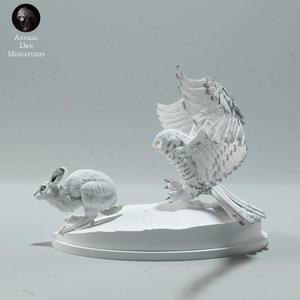 Snowy Owl Hunting Arctic Hare