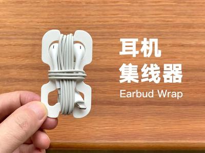 Earbud Organizer