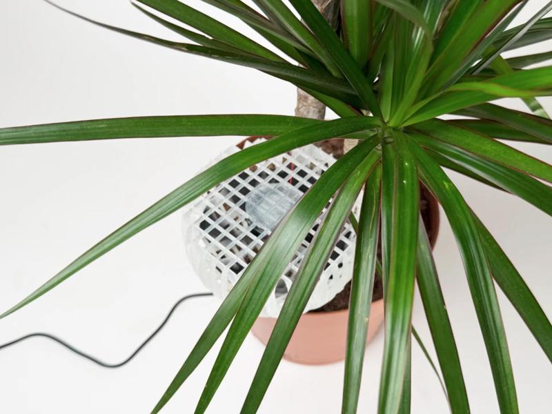 Haze plant vent