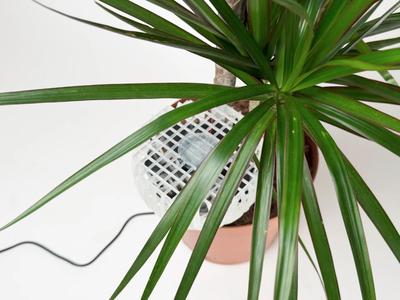 Haze plant vent