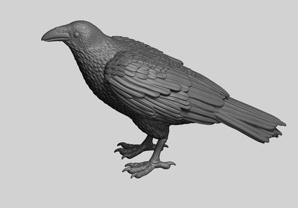Raven 3D print model
