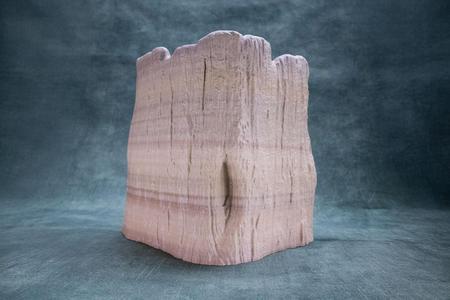 Trunk Pot (Prę Supported)