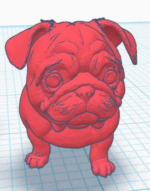 Pug