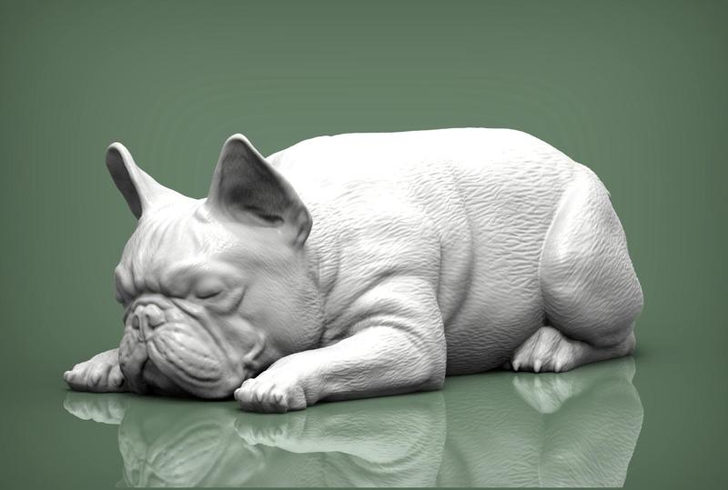 French Bulldog