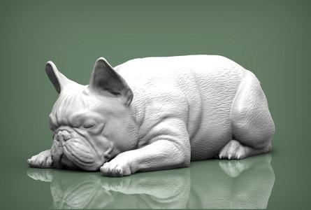 French Bulldog