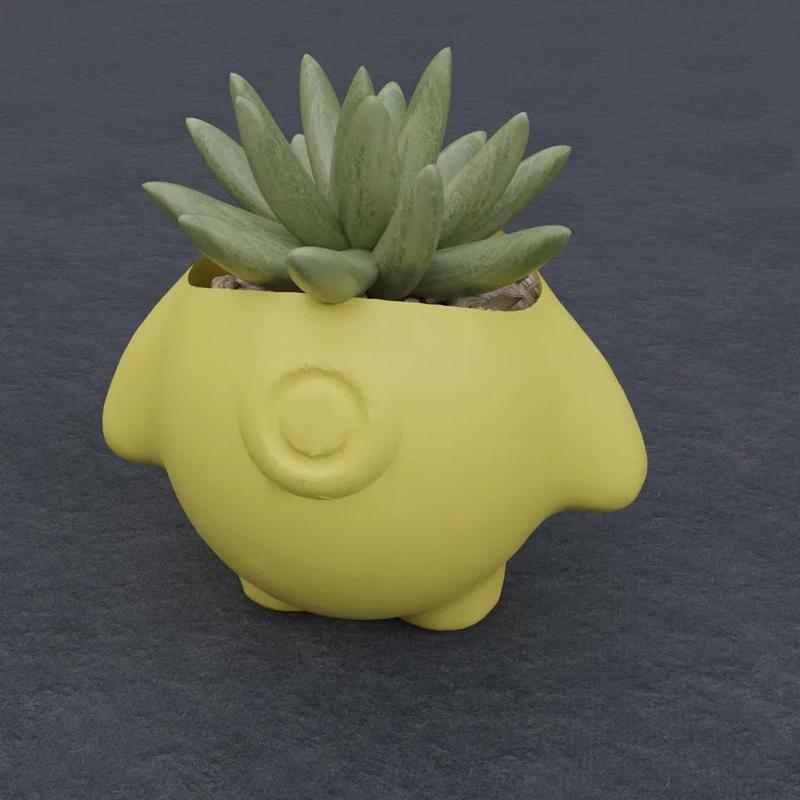 Cute Plant Pot with one eye