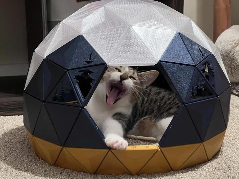 Geodesic Dome Cat House – Pine Tree Cutouts