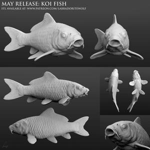 Koi Fish