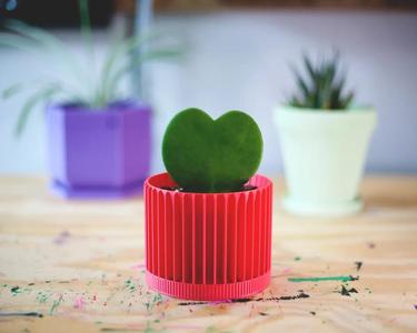 small succulent planter pot (vase mode)