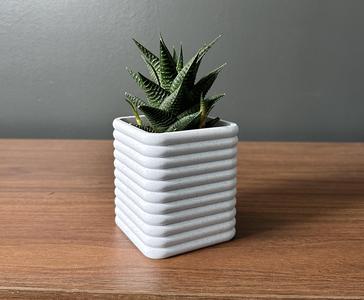 Square Poppy Planter