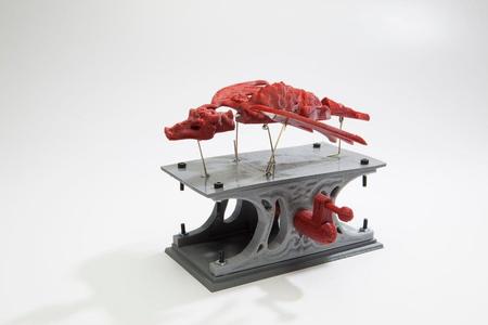Automaton Dragon!