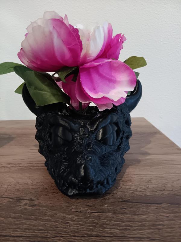 dragon head plant pot
