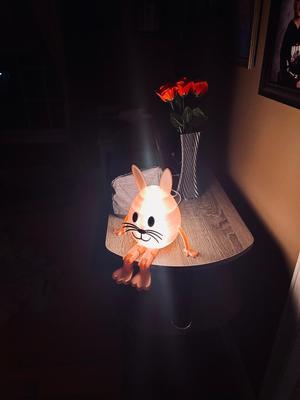Easter Bunny led 001 night light