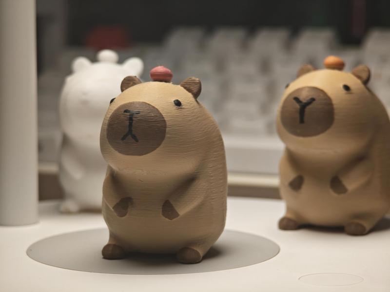 Capybara