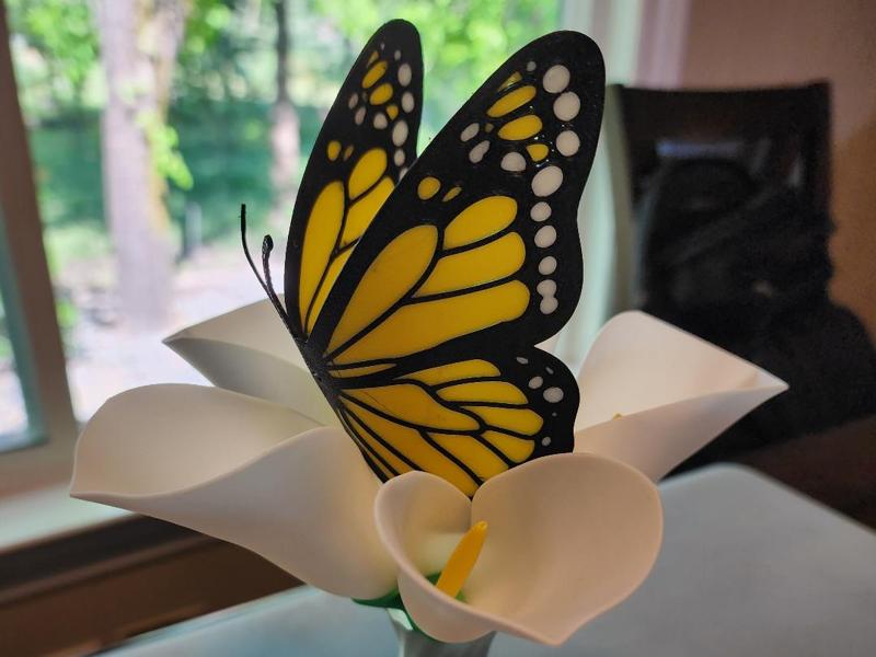 Monarch Butterfly