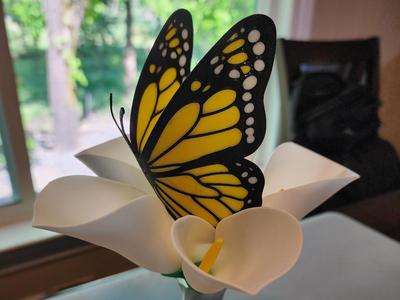Monarch Butterfly