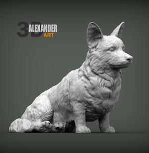 Cardigan Corgi sitting