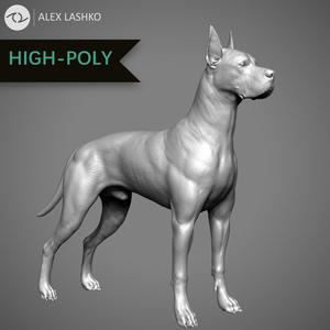 Great Dane High-Poly