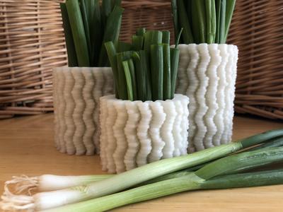 Ramen Vase (Medium)
