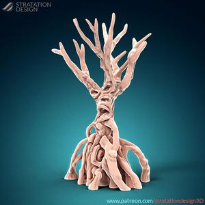 Great Mangrove Tree