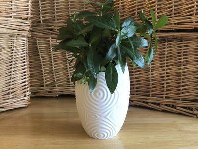 Ripple Vase (Ovoid)