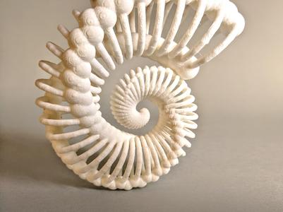 Bone Nautilus