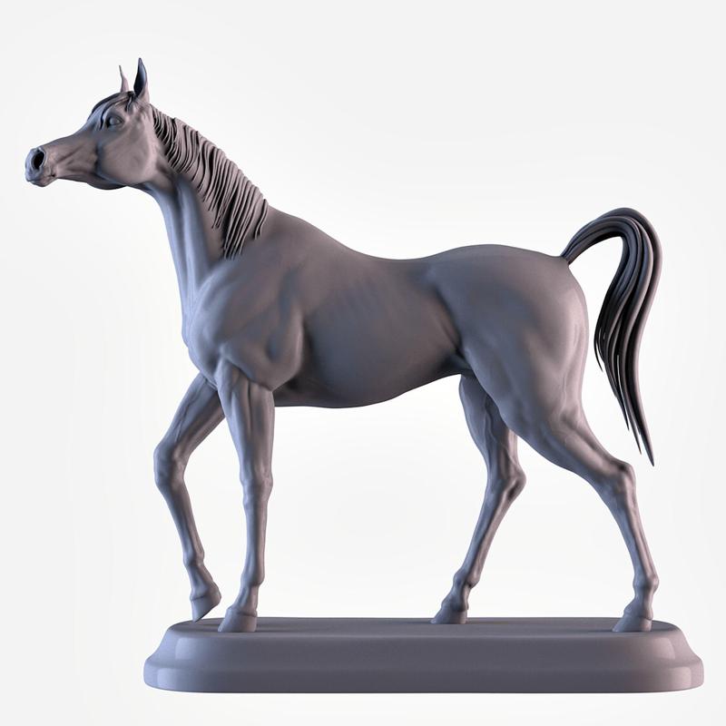 Arabian Horse