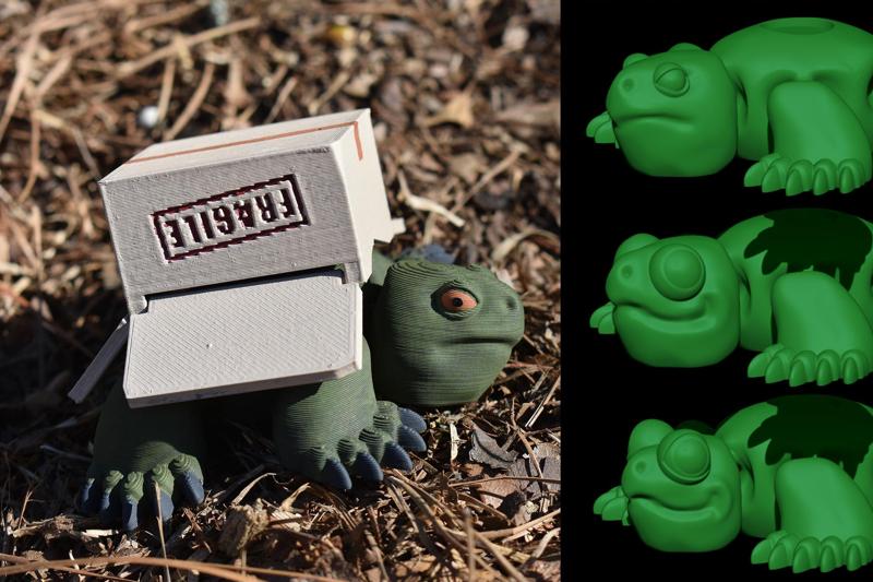 Articulated Box Turtle