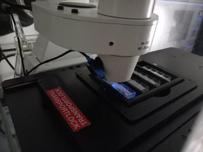4 slots slide holder for videomicroscope and inverted microscope