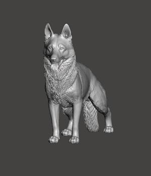 German Shepherd Dog