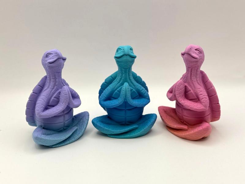 Zen Turtle