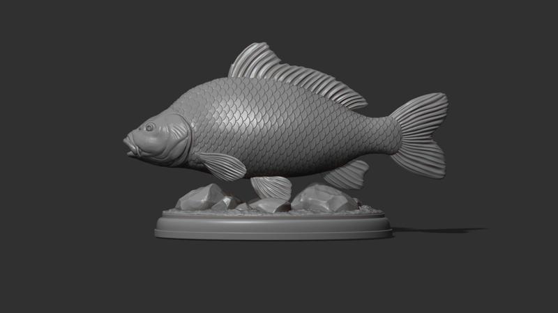 Carp fish on the base