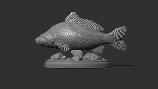 Carp fish on the base