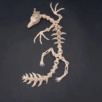 flexi wyvern dragon skeleton