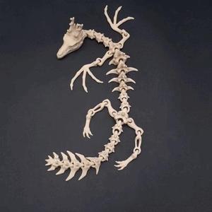 flexi wyvern dragon skeleton