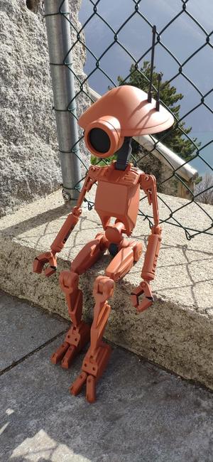 PIT DROID 1:2